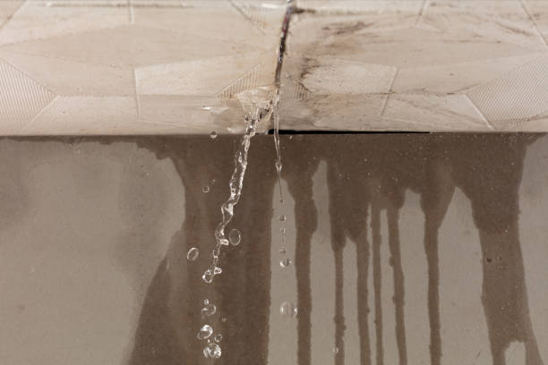Professional Sewage Cleanup technician working in Cactus, TX